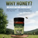 Robinia Raw Honey - Image 2